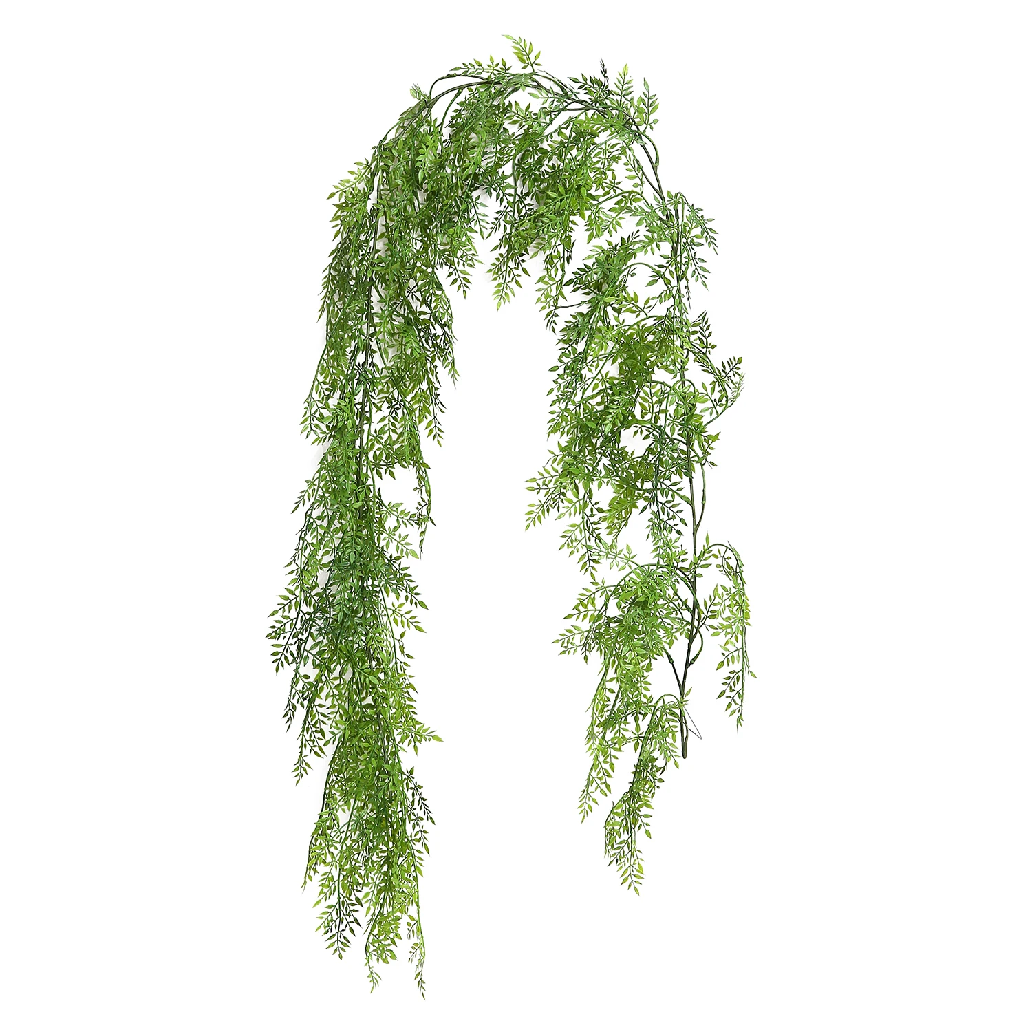 Planta de helecho de vid de ce - Preserved Moss Sheet reseña y precio