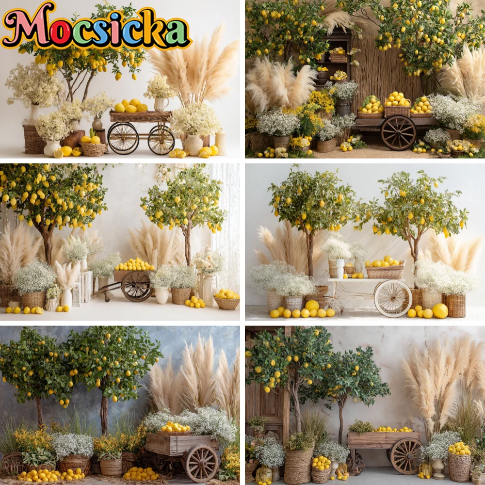 

Summer Lemon Garden Backdrops Cake Smash Child Baby Photo Props Adult Kids Decors Yellow Tulip Photography Studio Backgrounds