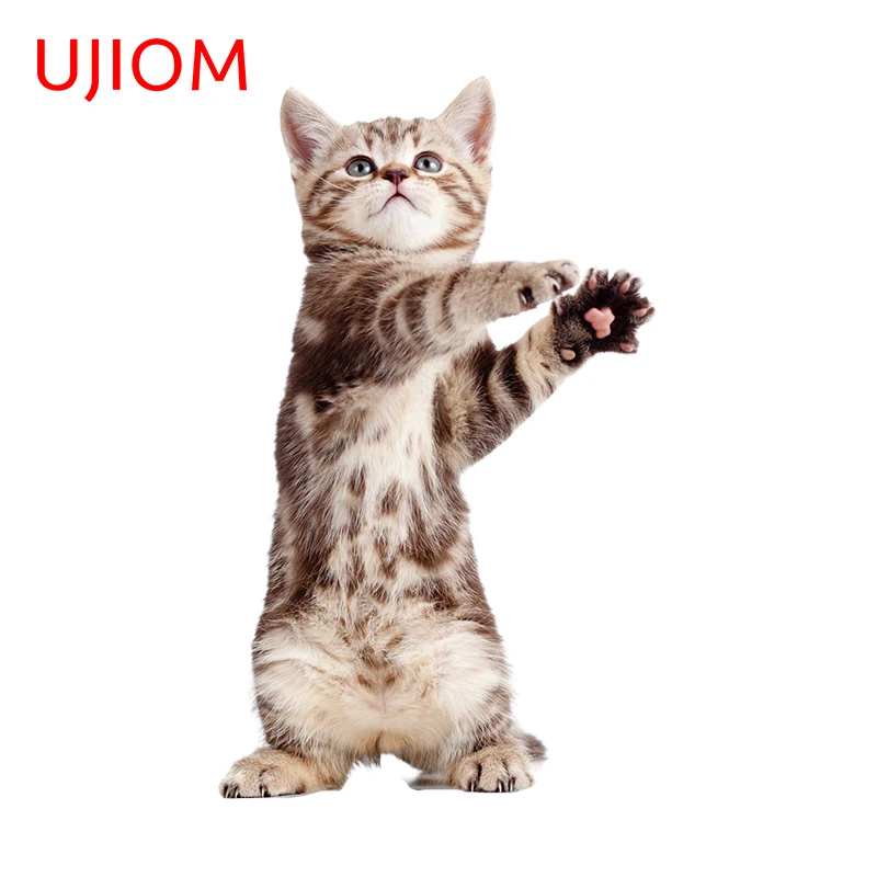 UJIOM Kawaii Standing Cat With Beautiful Eyes Cartoon Wall Stickers Cute Vestibule Decal Interesting Room Wallpapers Decor