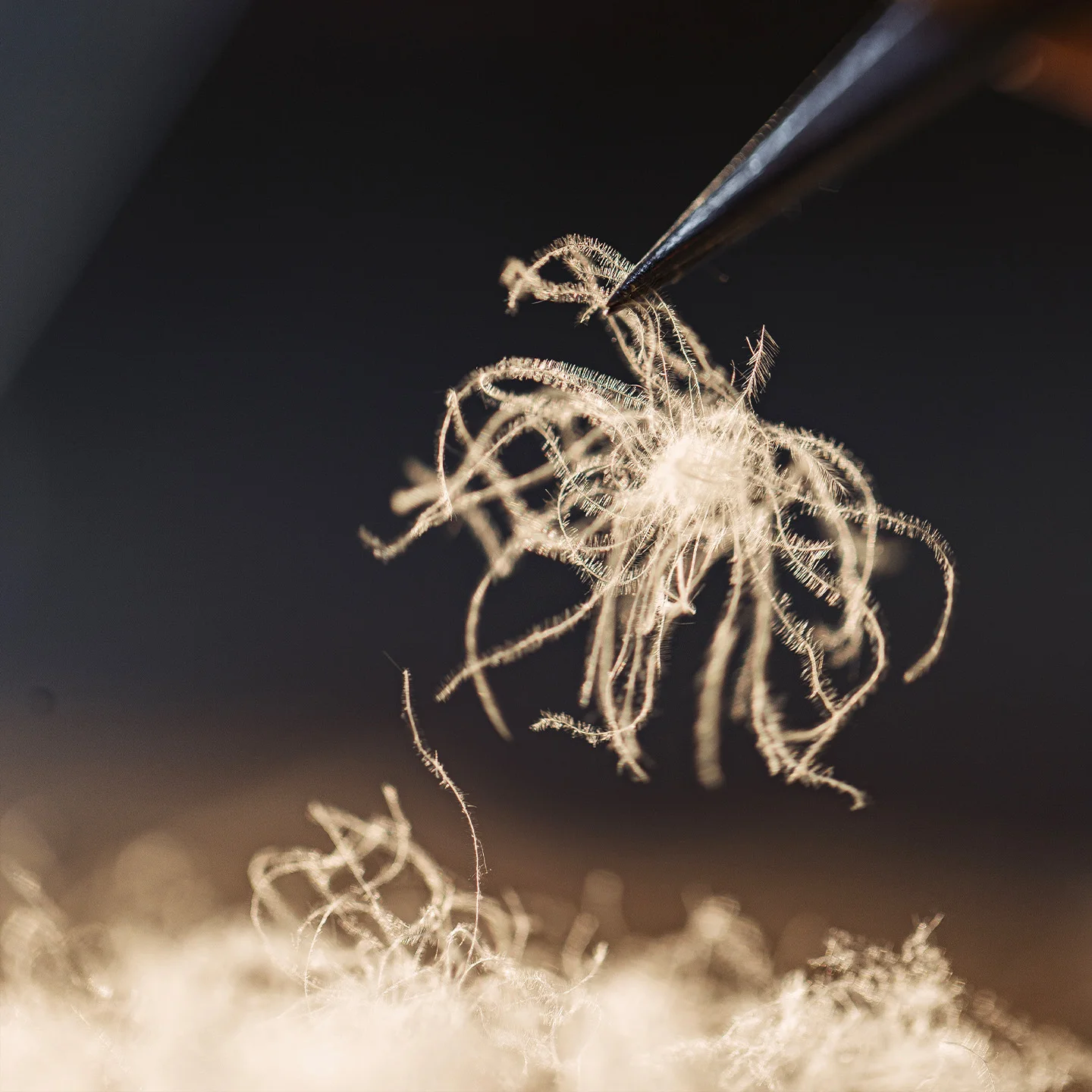 Maden المرأة سترة قصيرة أسفل 90% بطة أسفل الدافئة سميكة اقتصاص معطف منتفخ الرجعية الجلد المدبوغ المرقعة الوقوف طوق الشتاء ملابس خارجية