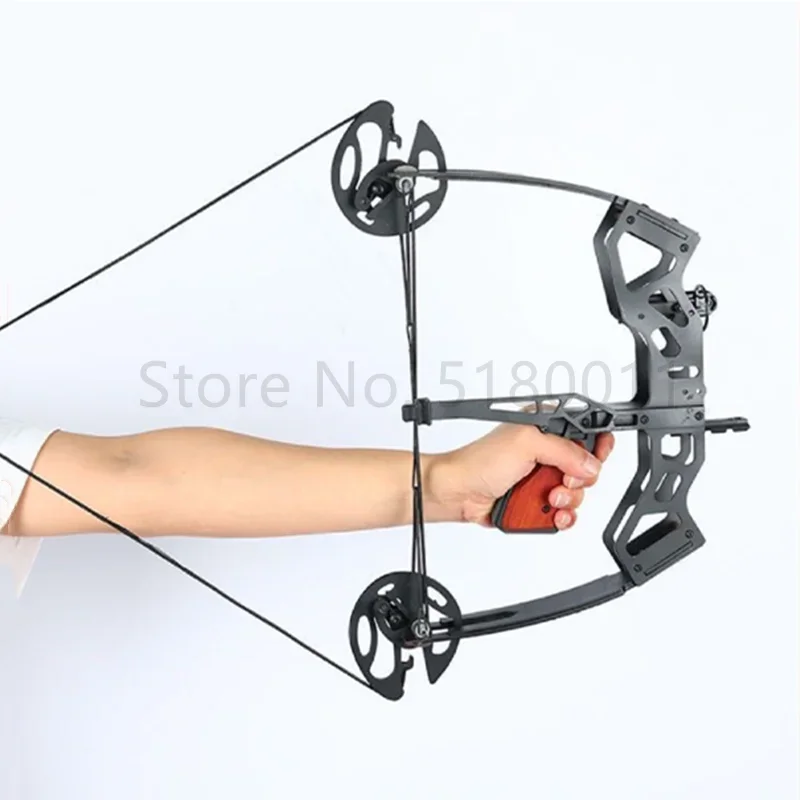 

40 Pound Fishing Compound Bow Archery Bow Pulley Bow Archery Equipment Triangle Bow Non Bending Straight Bows Outdoor Sports