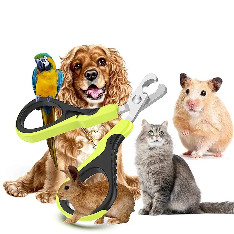 

Professional Hamsters Nail Clippers Small Animals Nail Trimmers Scissors for Kitten Rabbit Puppy Guinea Pig Ferret Bird Gadgets