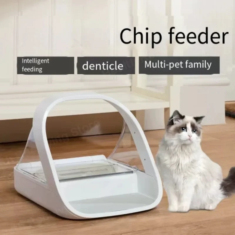 Surefeed-alimentador automático con detección reconocimiento virutas para gatos, tazón para gatos，conservación alimentos húmedos