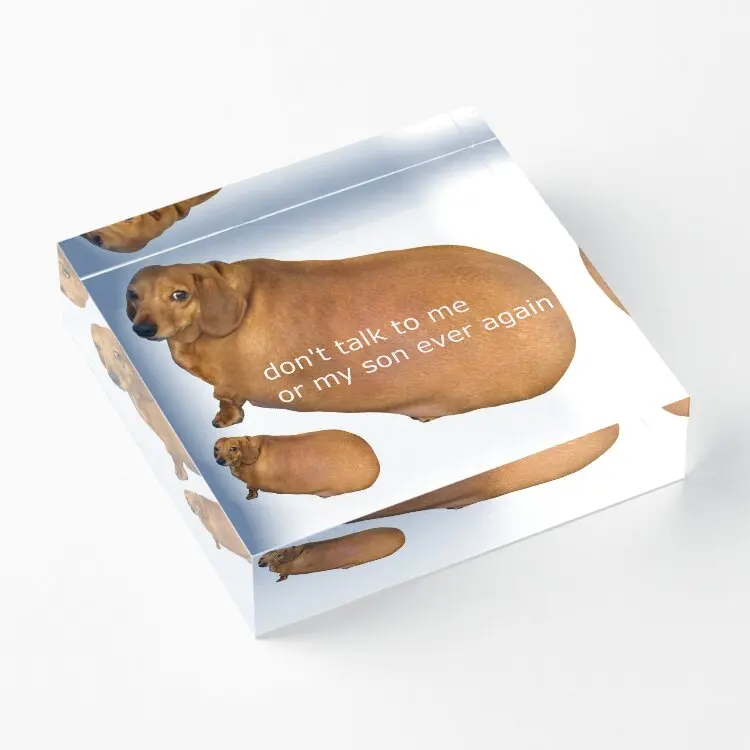 Do Not Talk To Me Or My Son Ever Again  Acrylic Block Stamping Photos Decor Room Fashionable Bedroom Family Transparent