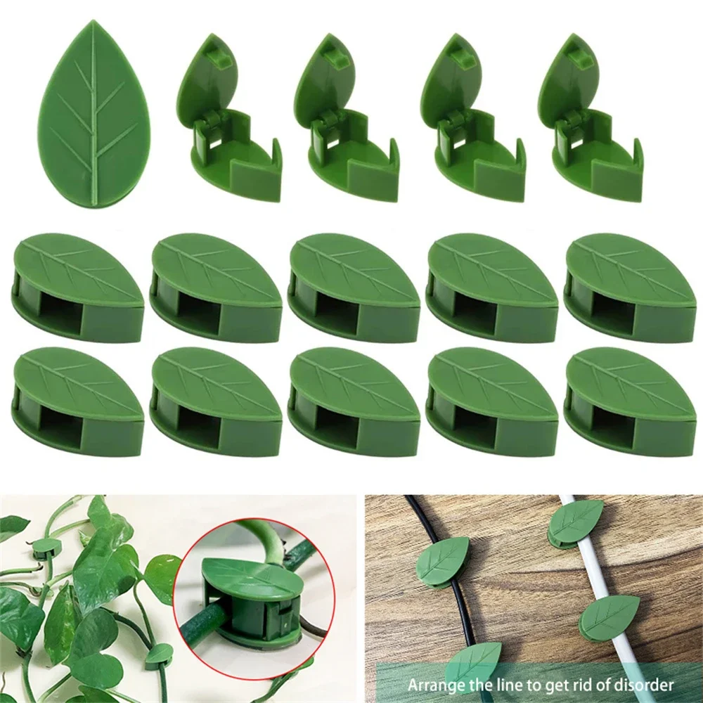 Plant Climbing Wall Fixture Clips Self-Adhesive Vines Hook Garden Support Fixer Snap