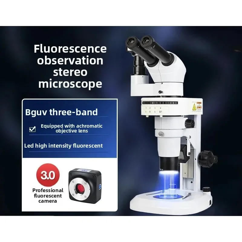 Fluorescence microscope zebrafish nematode observation life sciences medical laboratory