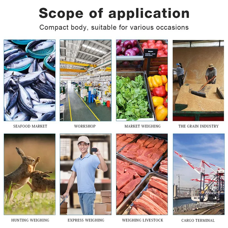 Digital Crane Scale Industrial Hanging Scale Heavy Duty Hanging Hook Scales Weighing Tool Forfarm, Fishing 300Kg 50G-POS