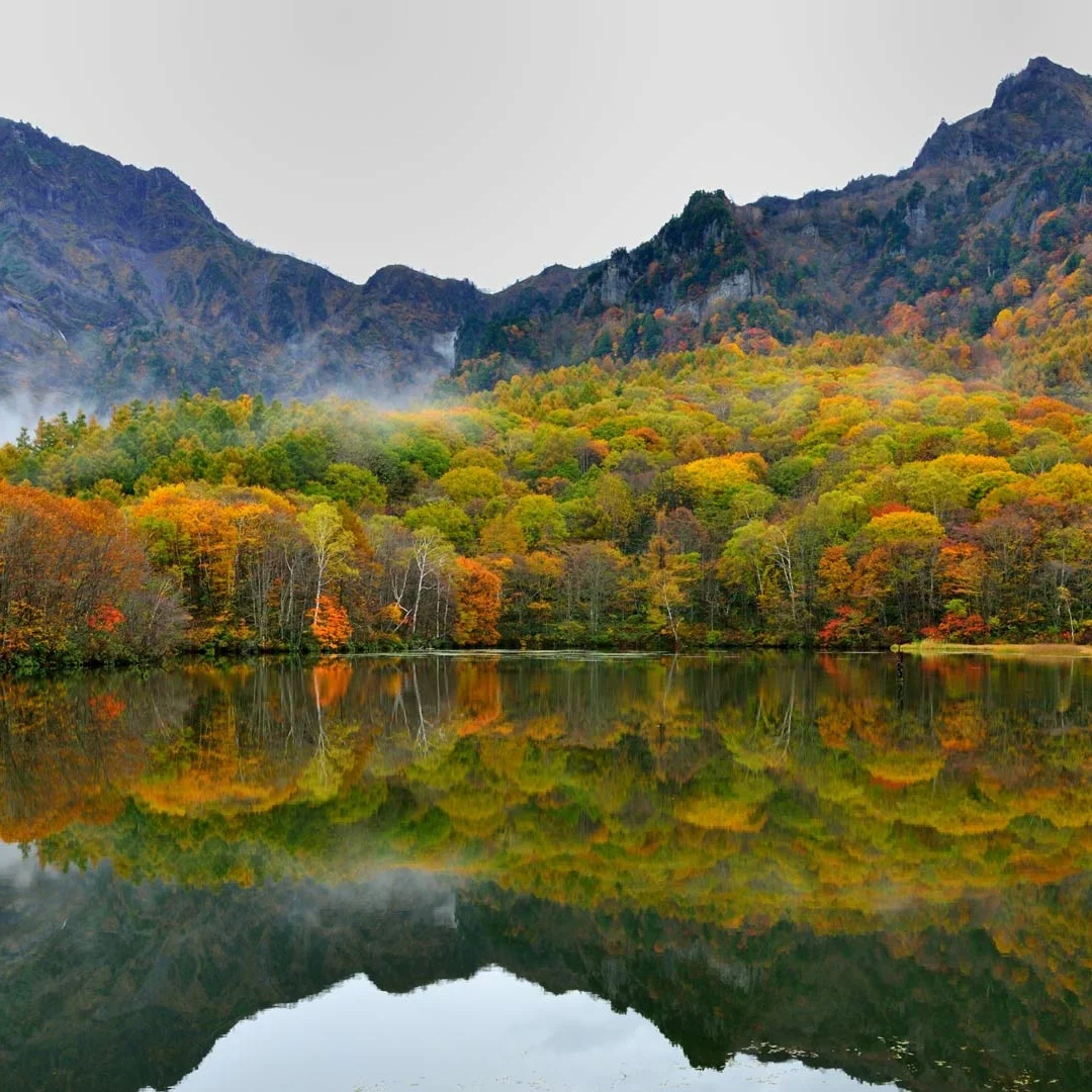 Android 13 Car Radi…