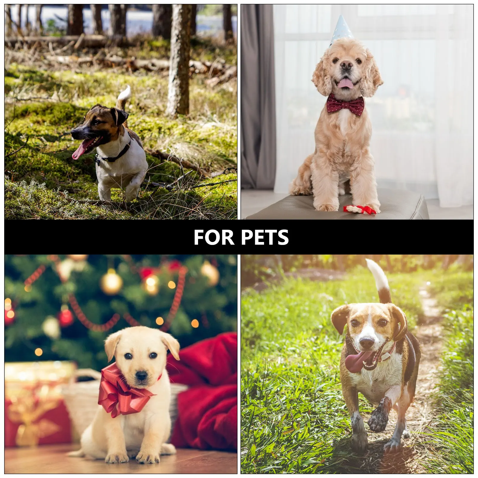 

Auto Dog Water Bowl Dispenser Feeder Puppy Drinking Tool Pet Waterer High-Density Safe Environmentally Friendly Smooth