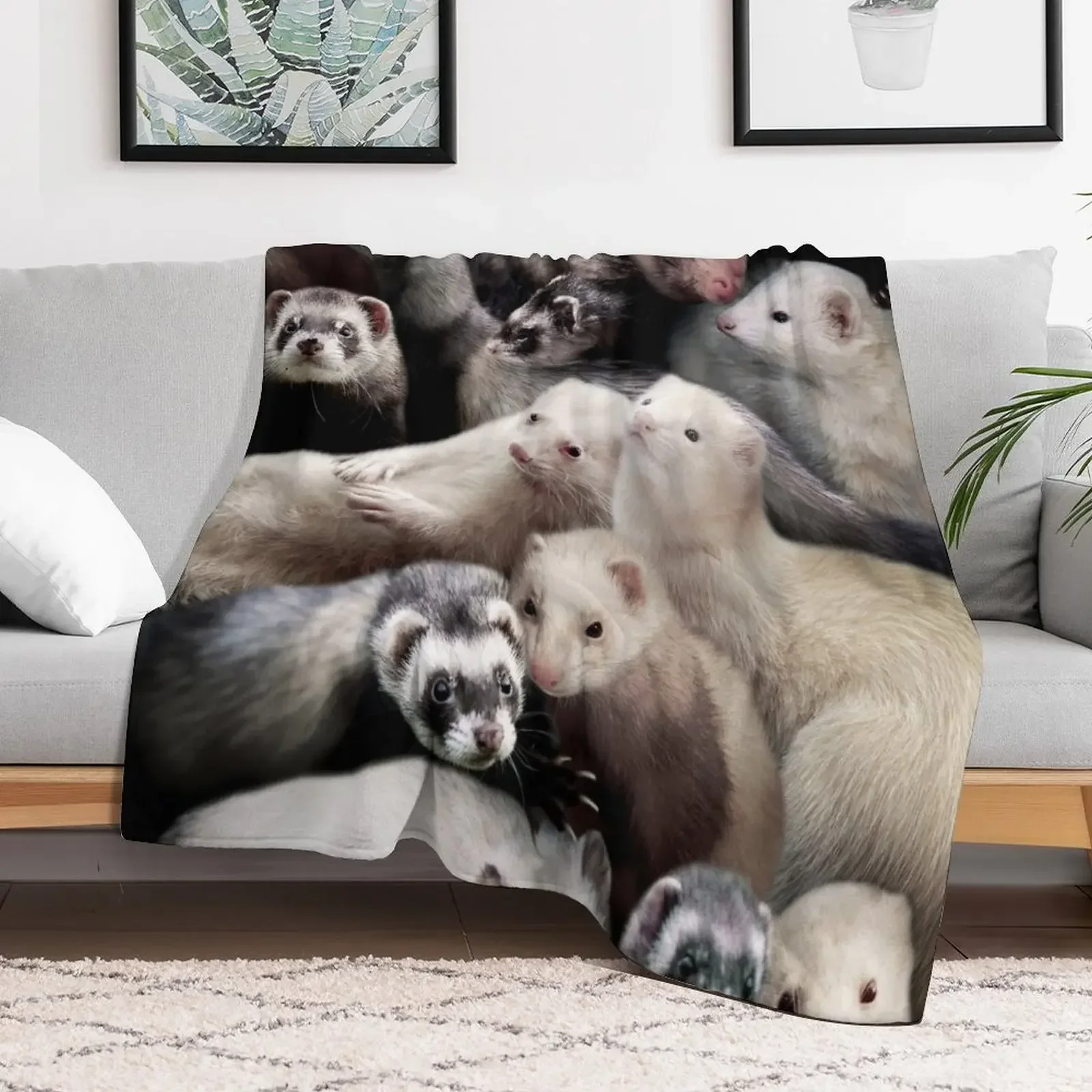 Ferrets Throw Blanket Loose decorative Blankets