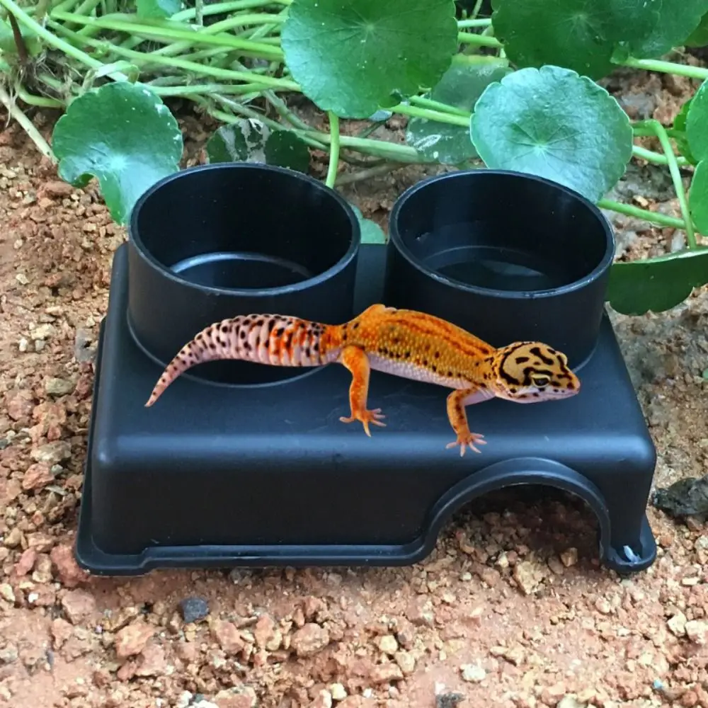 Small Reptiles Pets Toys Gecko Snake Shelter House Food Water Bowl Cave Climbing Box Small Animal Hideaway Pet Supplie Accessory