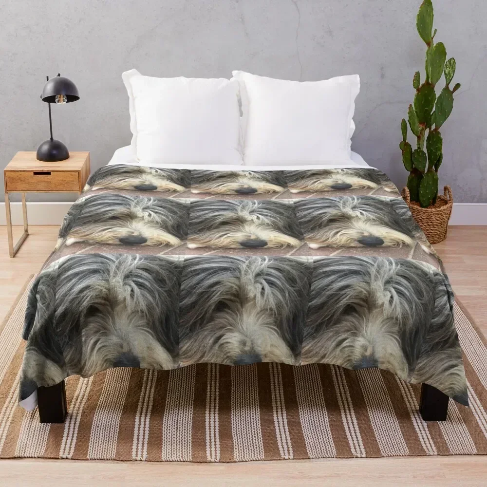

Bearded Collie Nap Time - Always got one eye open just in case! Throw Blanket Spring Fall Cozy Throw Blanket for Couch