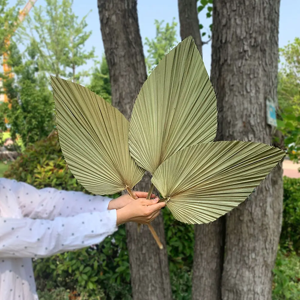 

4Pcs Dried Palm Leaf Wedding Party Wall Hanging Decorative Vivid Palm Leaves Fan Tropical Leaf Decor Artificial Fan Leaves