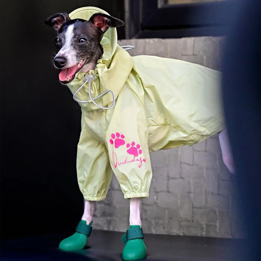 

Модный регулируемый плащ с лапами для Италии, борзая, ветрозащитная водонепроницаемая зеленая куртка со шляпой для собаки уиппет