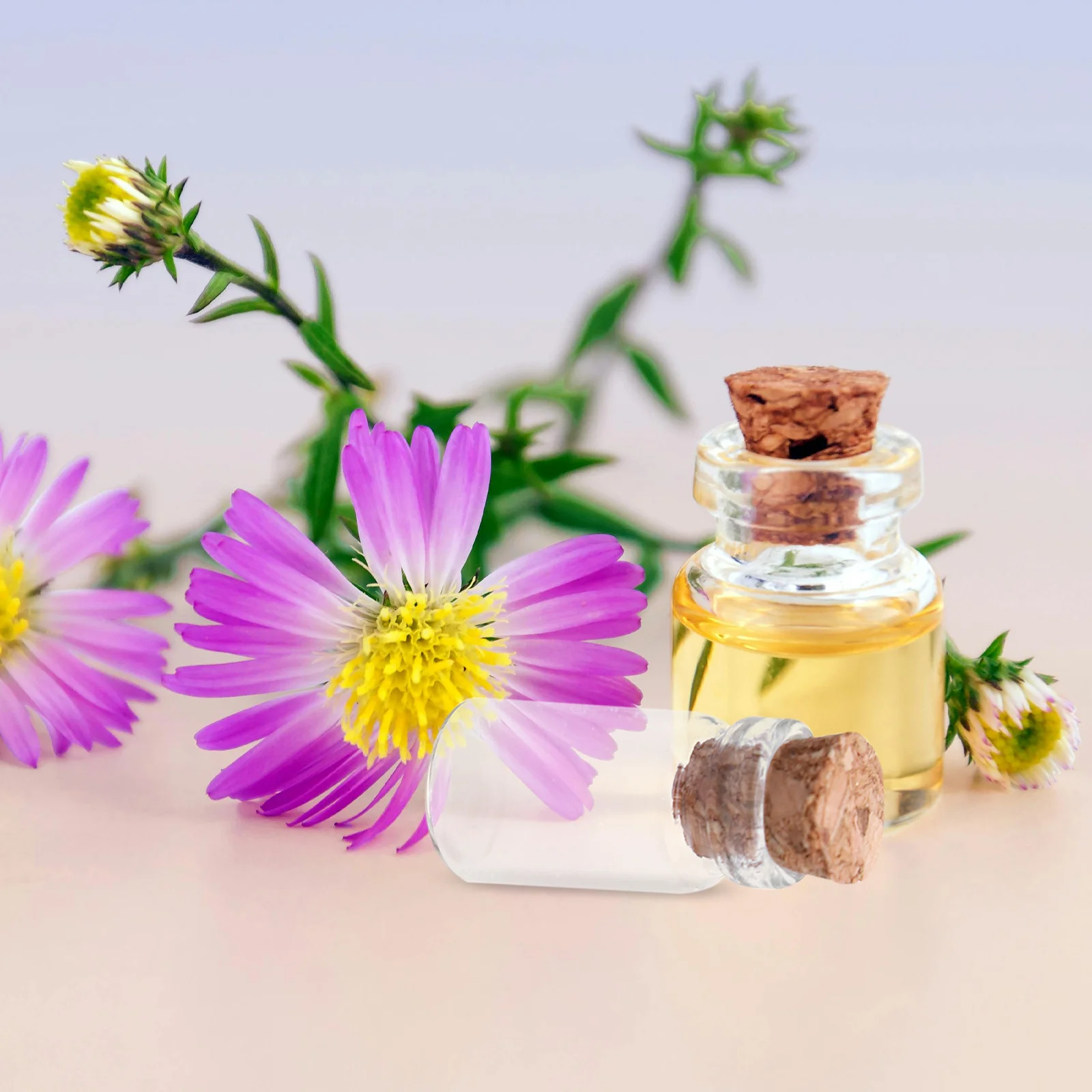 

50Pcs Mini Glass Bottles with Wooden Cork Clear DIY Message Jars Wedding Party Decoration Drift Bottles Mini Wish Bottle