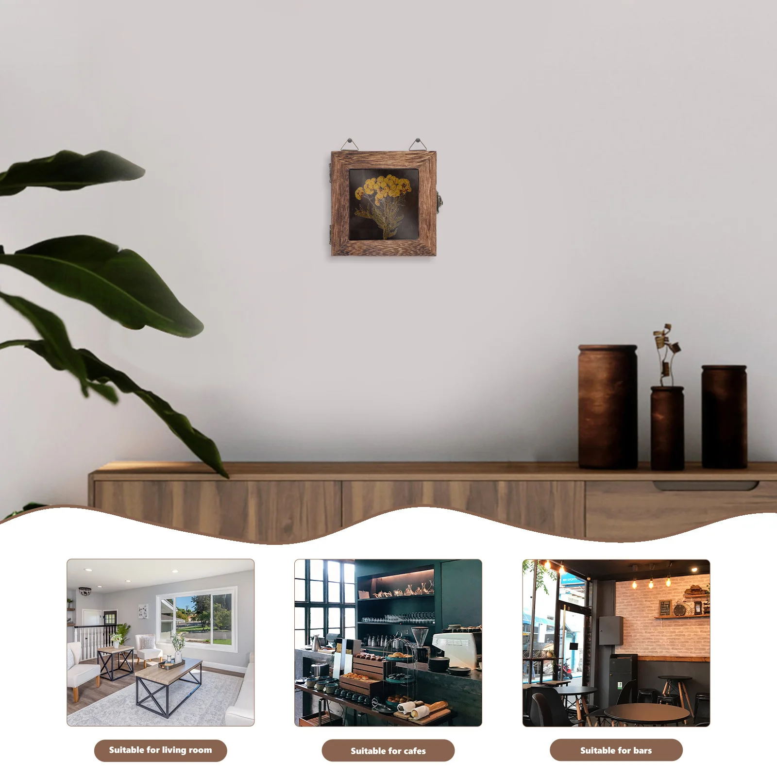 

Specimen Display Box Lightweight Sturdy Structure Multi Purpose Frame for Photos Insects and Flowers Unique Gift Choice