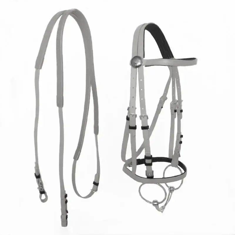 Collier de tête licou cheval durable, bride d\'équitation, équipement d\'équitation, licou en PVC, accessoires équestres