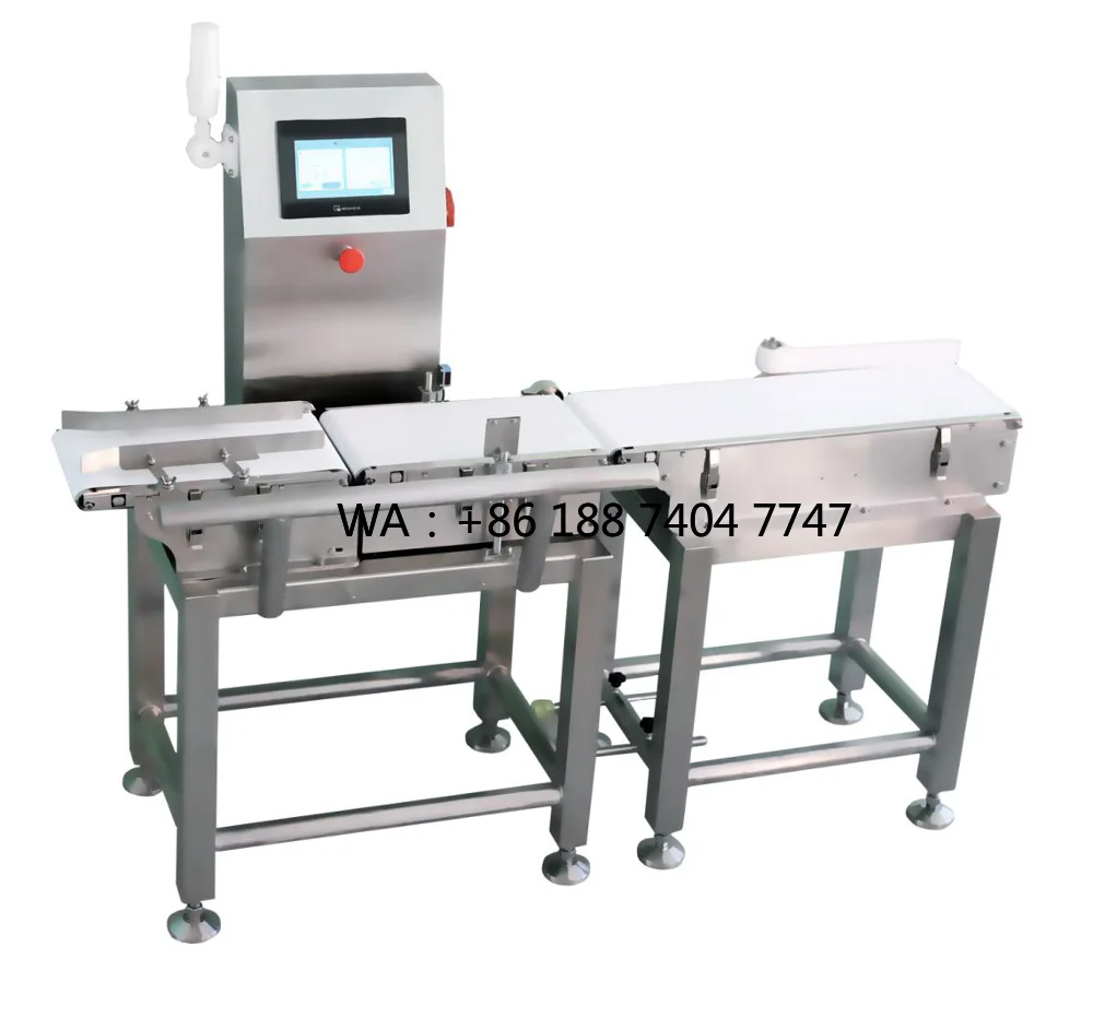 Automatic Weighing Scale Check Weigher for Food Processing with Conveyor