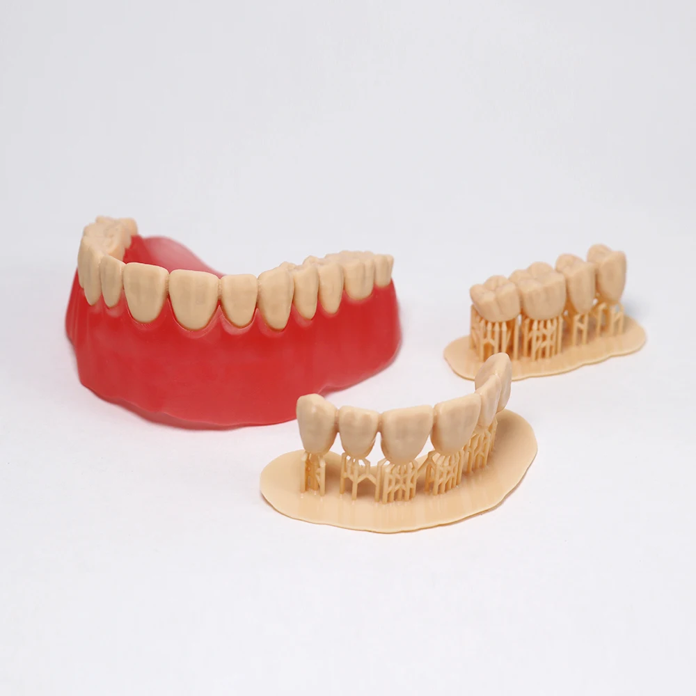 1KG 3165 Photosensitive Resin Denture Base Material Resin Biocompatible for LCD Dlp Sla 3d Printer