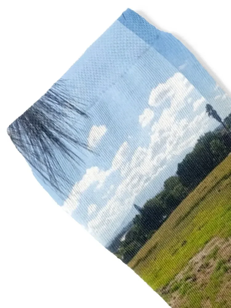 جوارب غينيا للجري في حقل مفتوح، جوارب رياضية، هدية عيد الميلاد، جوارب شفافة للرجال والنساء #2