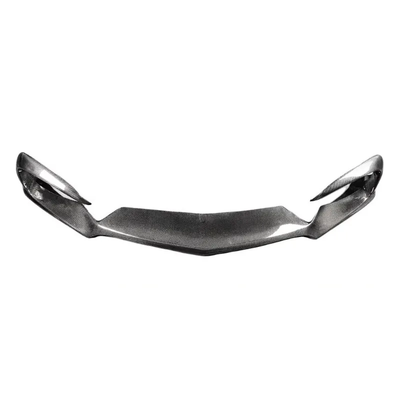 Carbon Fiber RZ Style Front Lip for Benz Amg GT GTS GTC Front Bumper Lip