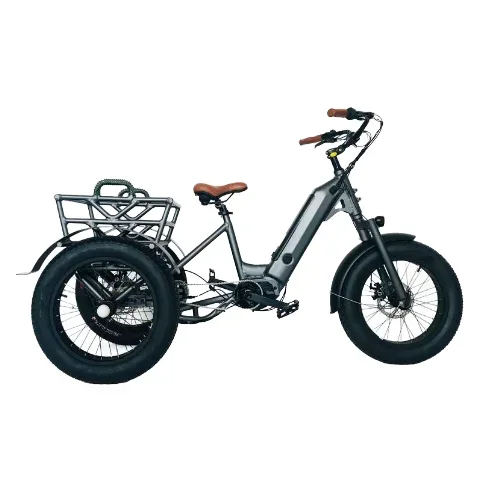 2025 26-inch adult tricycle electric assist pedal cargo bicycle 7-speed electric tricycle far