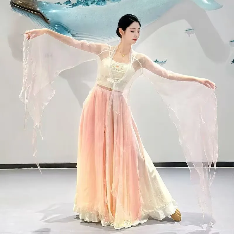 Chinese Dance Dress Women Classical Dancer Performance Costumes Professional Elastic Gauze Practice Clothes Dance Costume