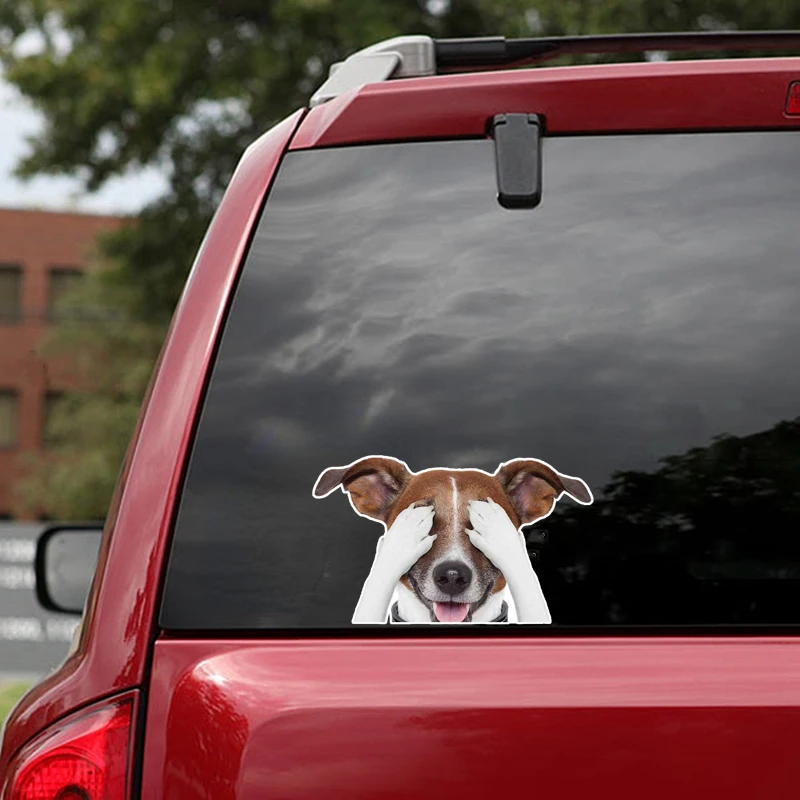 

Funny Jack Russell Terrier Dog Car Stickers Window Surfboard High Quality Decal Vinyl Material Waterproof Car Decoration