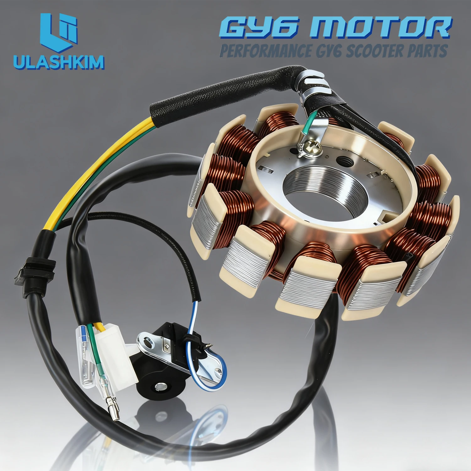 GY6 Coil 12 Pole Full DC Three-phase Magnetic Motor Stator GY6 Converted to