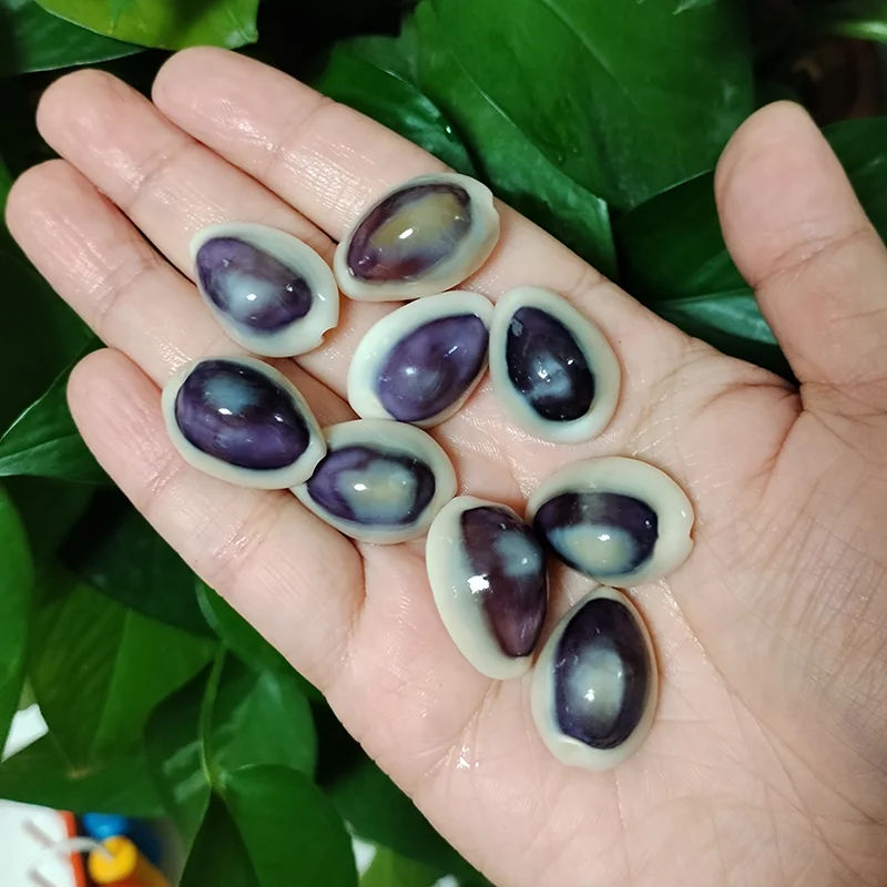 20 PC Blue-eyed Cowrie Sea Shells Real Purple Conch For Specimen Creative DIY Jewelry  Nautical Fish Tank Aquarium Landscape