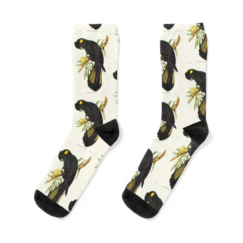 

Black Cockatoo Socks cute funny gift sports stockings winter gifts Girl'S Socks Men's