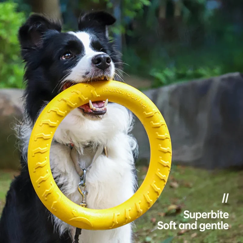 

Dog Toy Training Ring Puller Puppy Flying Disk Chewing Toys Throwing Catching Flying Outdoor Interactive Toy Pet Supplies