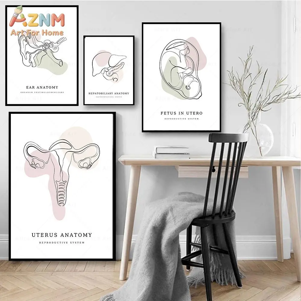 AZNM Human Body Anatomy Canvas Wall Art Line Art Medical Organ Physiology Educational Print Frameless Canvas Painting Clinic Doc