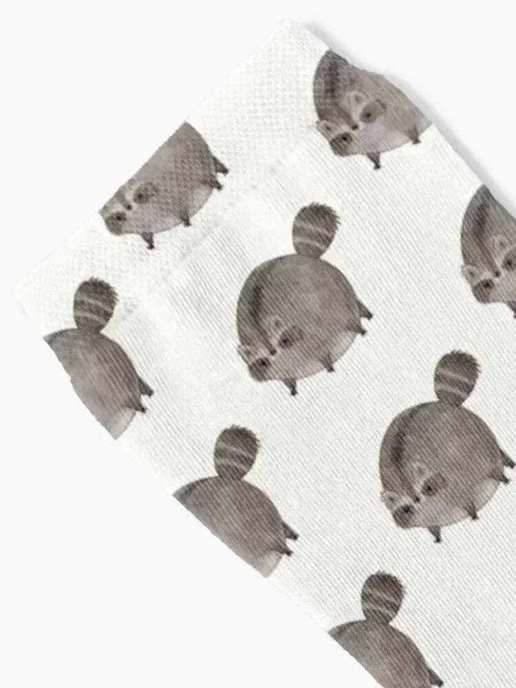 Chubby Trash Panda Socks halloween Crossfit Socks For Girls Men's