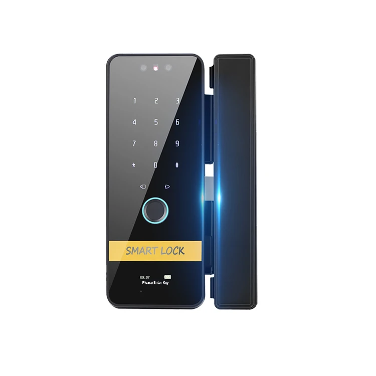 

июля003 Дверной замок «пять в одном», отпечаток пальца, пароль, ключ, карта памяти, отпечаток пальца, интеллектуальное стекло, пластик, 7,4 В, CN; GUA 2,1 кг