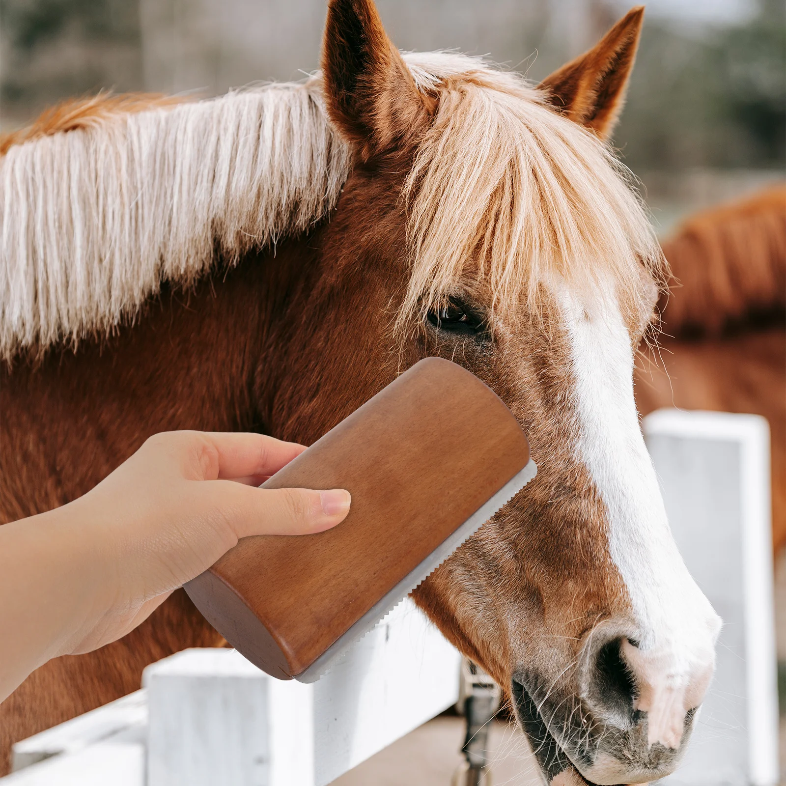 فرشاة العريس الخشبية مع حافة مسننة معدات كشط عرق الحصان قبضة مريحة لسهولة العناية بالحصان متعدد الأغراض
