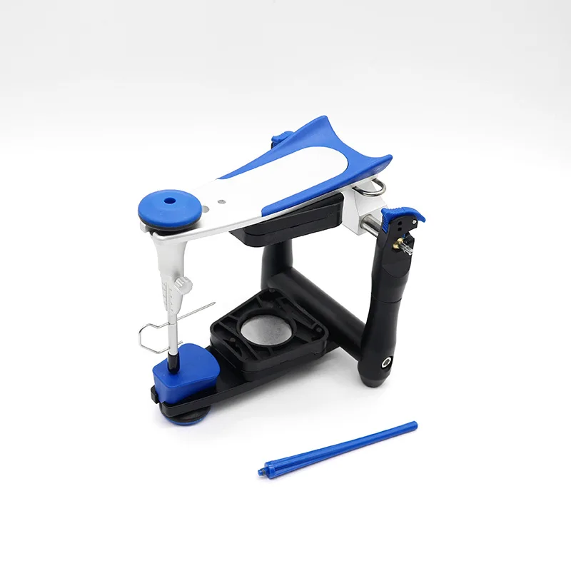 

Dental average jaw frame, full denture functional jaw frame
