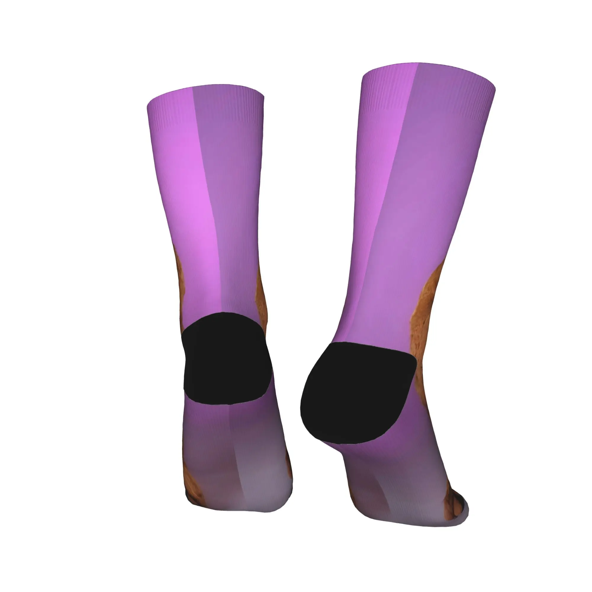 النساء الرجال الجوارب المسلسلات التلفزيونية ألف جوارب الشتاء موضة الجوارب الناعمة الدافئة الرسم الجري الرياضة المضادة للعرق الجوارب #4