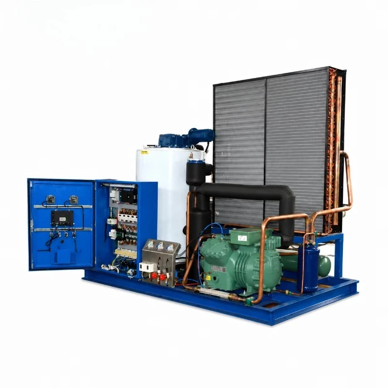 3 Ton/Day Flake Ice Machine Seafood Market Fishery Cooling System Factory Price Custom