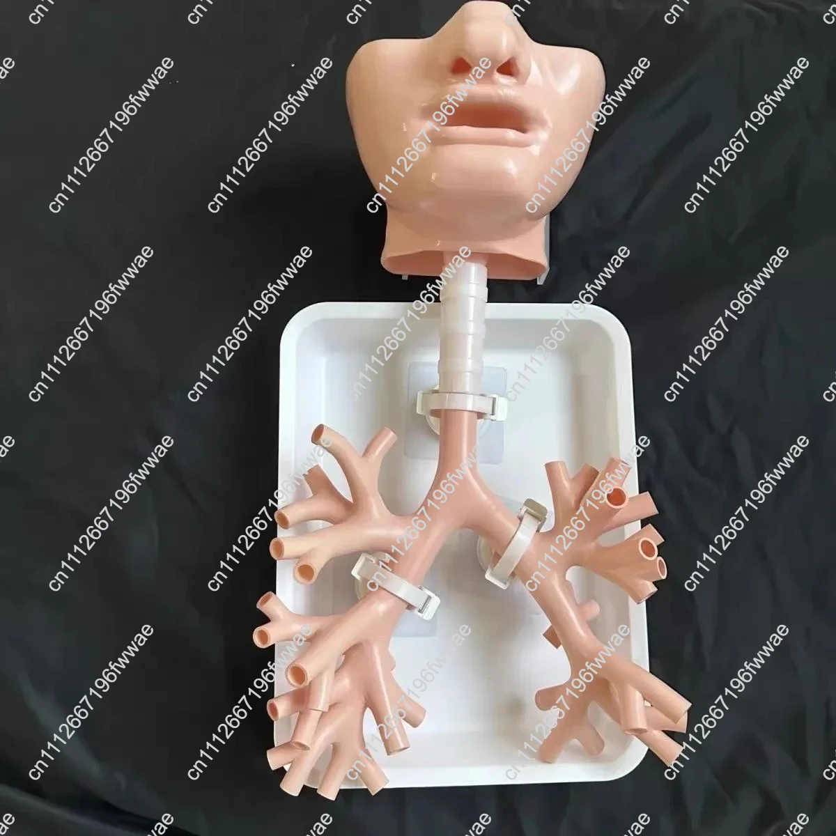 1:1 Level 4 Bronchial Model Bronchoscopy Training Model Resin Material Fiber Bronchus for Teaching Practice Training