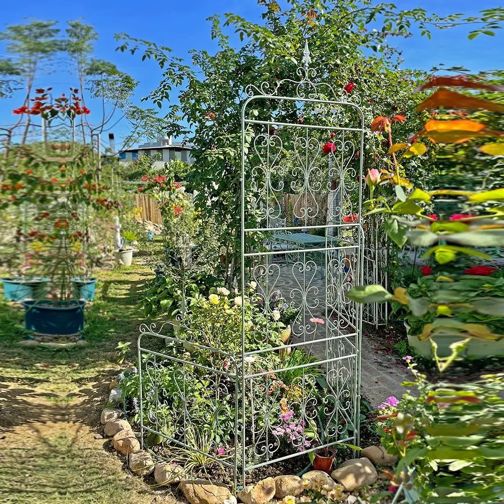 Outdoor Garden Clematis Flower Rack Climbing Rack Outdoor Plant Height Widening Climbing Rack Balcony Rose