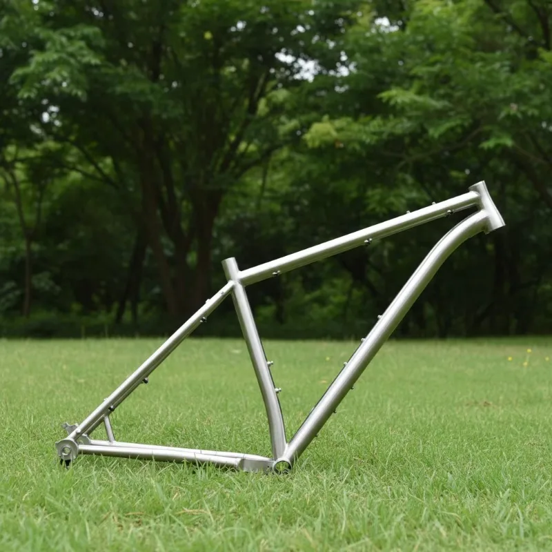 

29 Inch Titanium Enduro MTB Bicycle Frame Lightweight 2.6 Inch Tyre All Mountain Trail AM Downhill Custom Bicycle Part