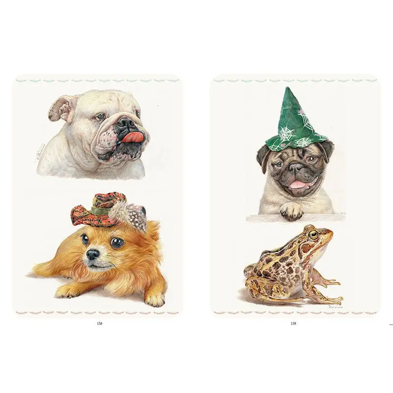 Colorido Chumbo Animais Quadrinhos, Basic Copy Picture Book, Iniciantes Textbook, Textbook Art, Iniciantes, Introdução, Chumbo Cor, 100 Casos