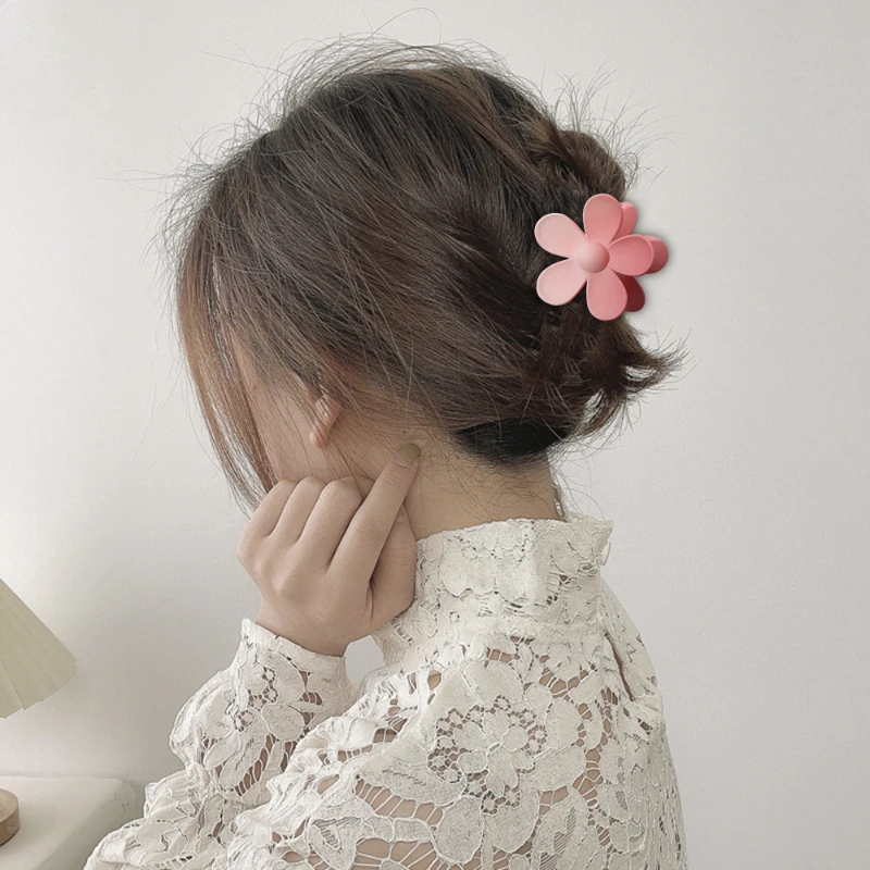 Gradual Color Hair Clip Frosted Grab Clip Sweet Women's Hair Updo Grab Accessories A Wide Selection of Hair Accessories