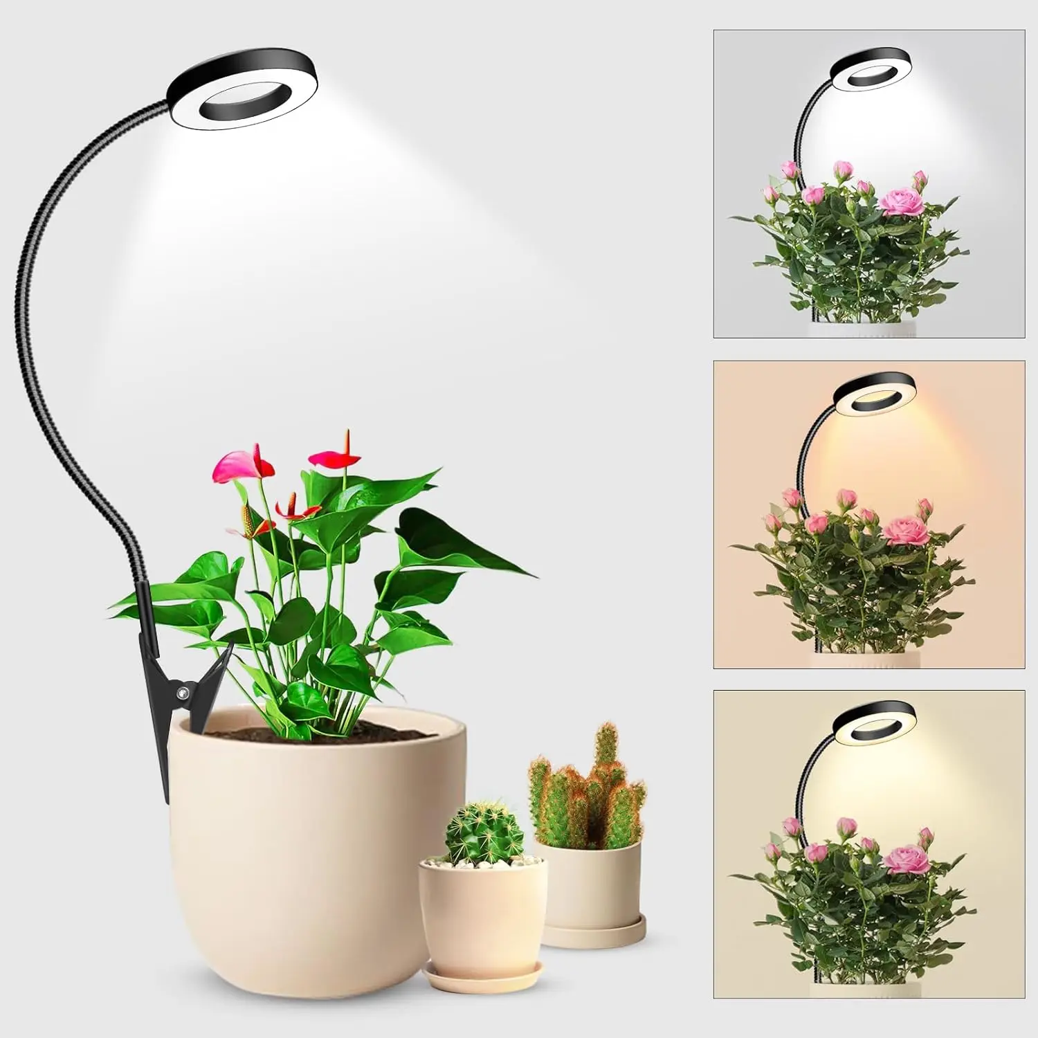 

2 in 1 Indoor Plant Grow Light with Full Spectrum, Timer, Adjustable Brightness & Flexible Gooseneck for Home Gardening