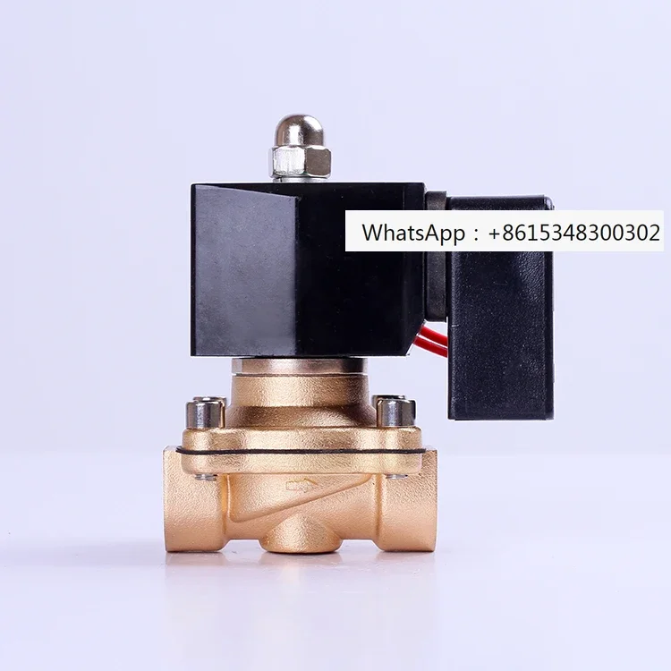 Energy saving, non heating, normally closed, waterproof all copper solenoid valve, irrigation switch control valve 220V24V