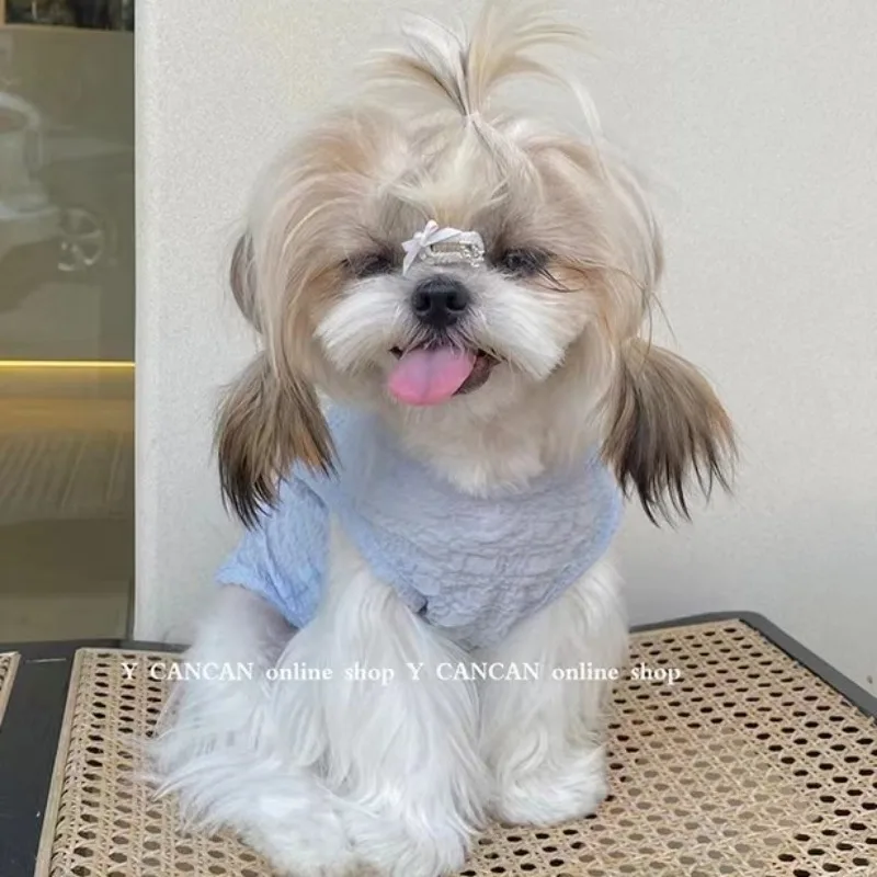 Summer Light and Breathable Pet Dog Clothes Teddy Bichon Pomeranian Cute Puppy Vest Dog Shirt Cat Pet Dresses Puppy Costume