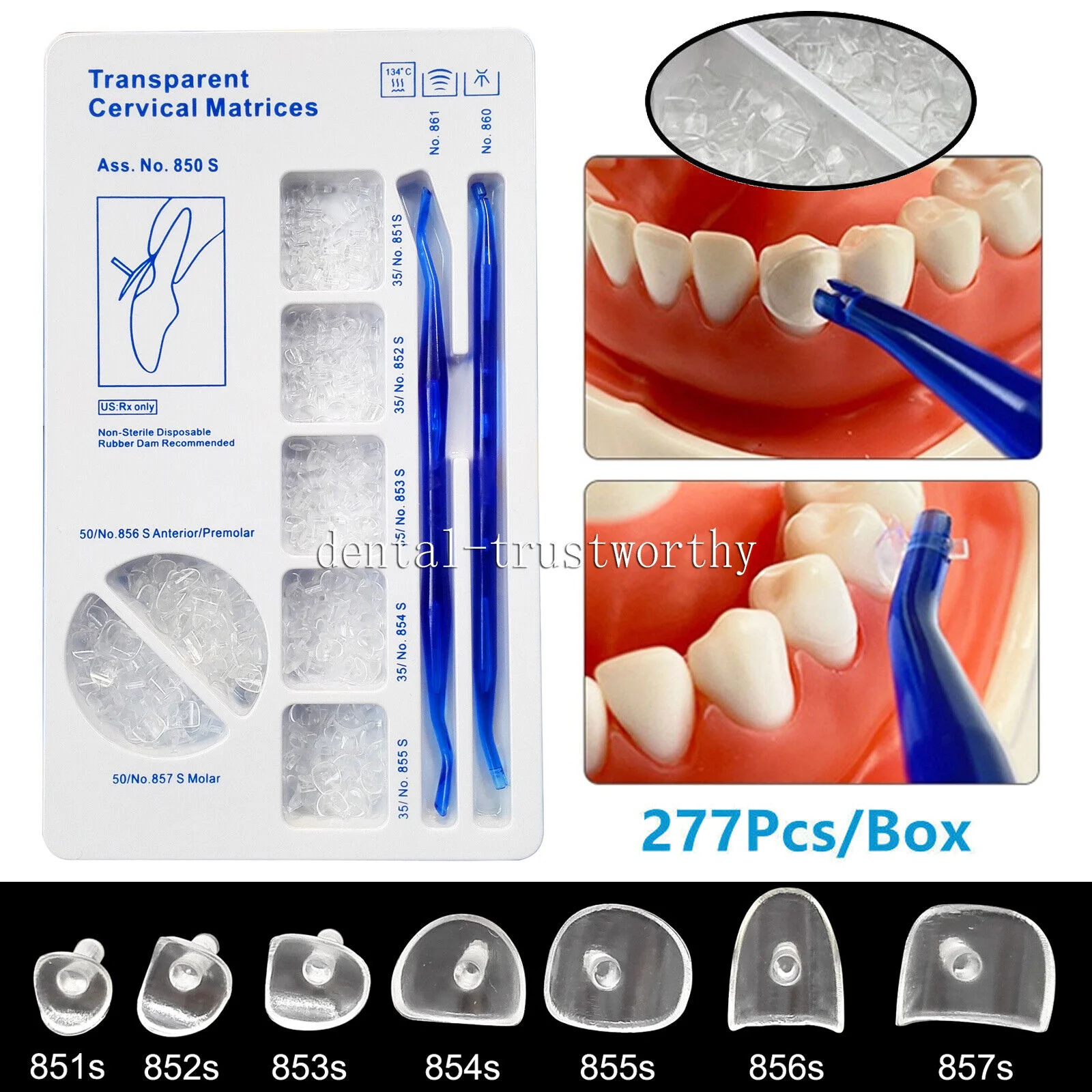 Dental Mould Anterior Posterior Teeth Partner Restoration Composite Kit Transparent Cervical Matrices Composite Gingival Retract