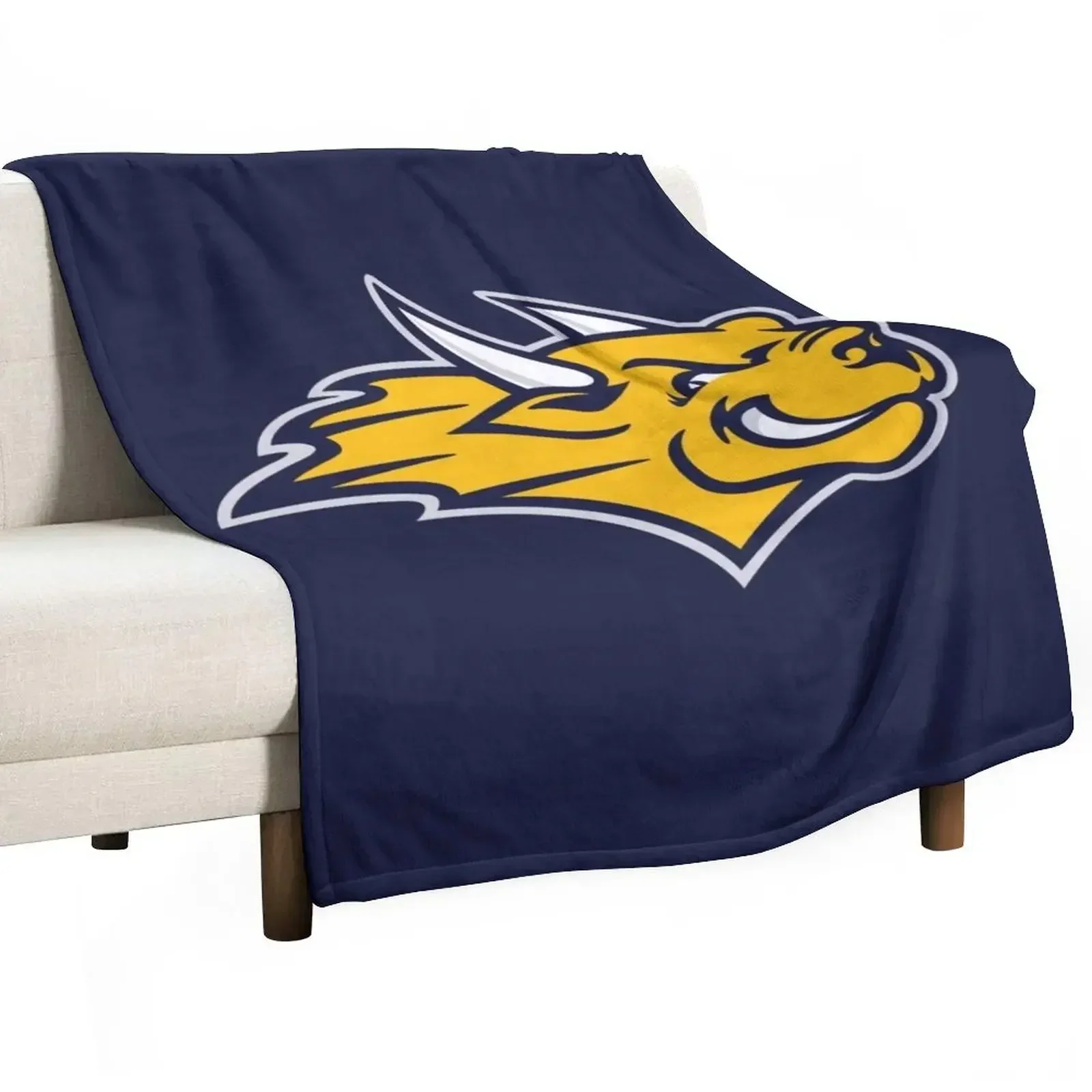 

Webster University Throw Blanket Travel anime Sofa Quilt Summer Blankets