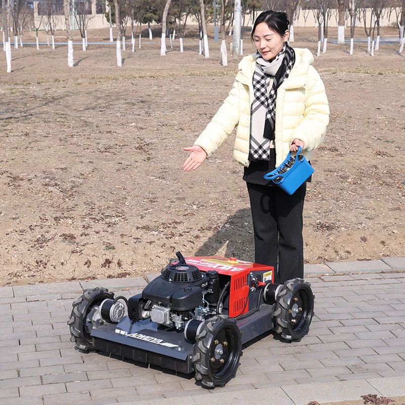 Customized Remote-C…